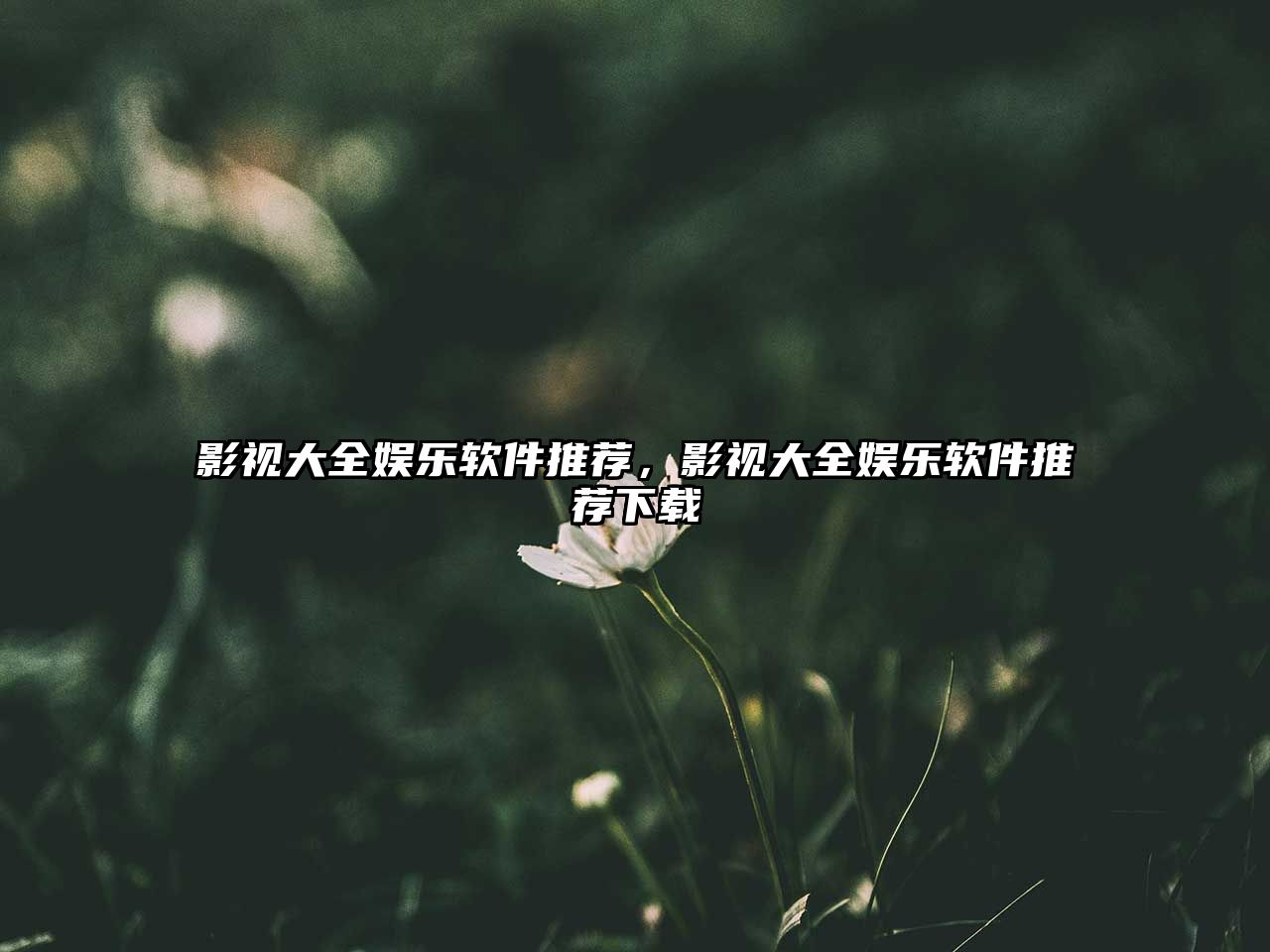 title="影視大全娛樂軟件推薦，影視大全娛樂軟件推薦下載"